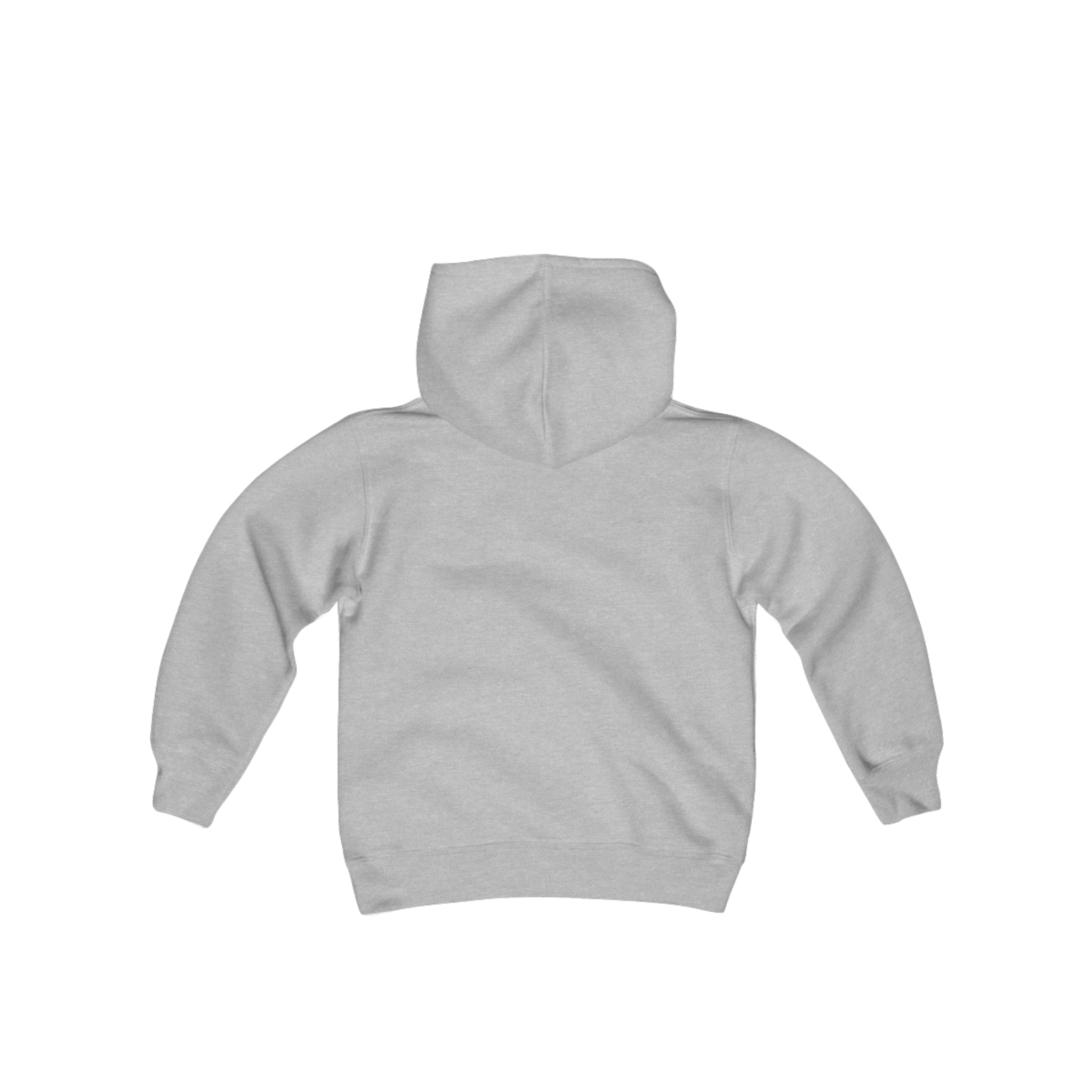 Ballerina Slippers Youth Heavy Blend Hooded Sweatshirt gray