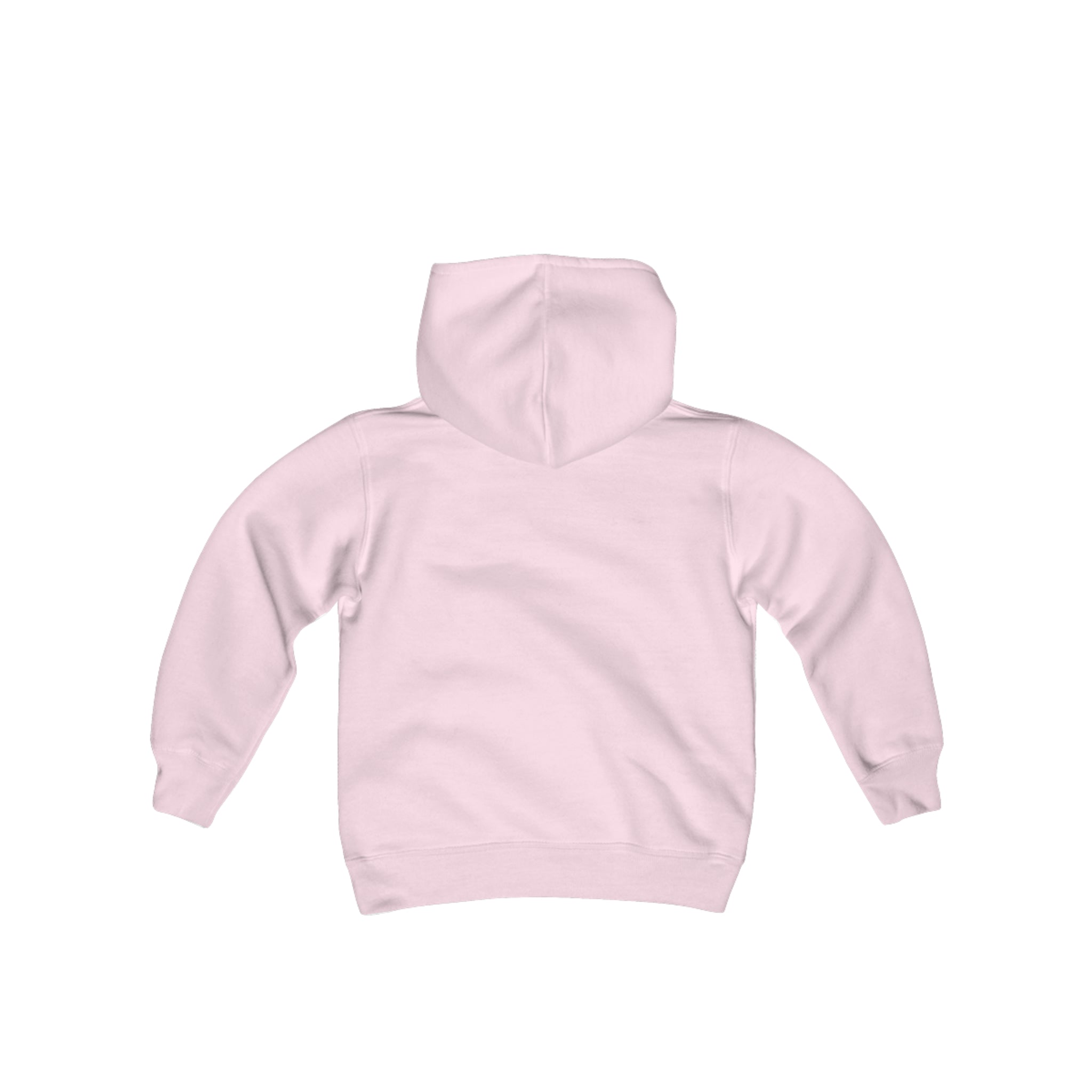 Ballerina Slippers Youth Heavy Blend Hooded Sweatshirt pink