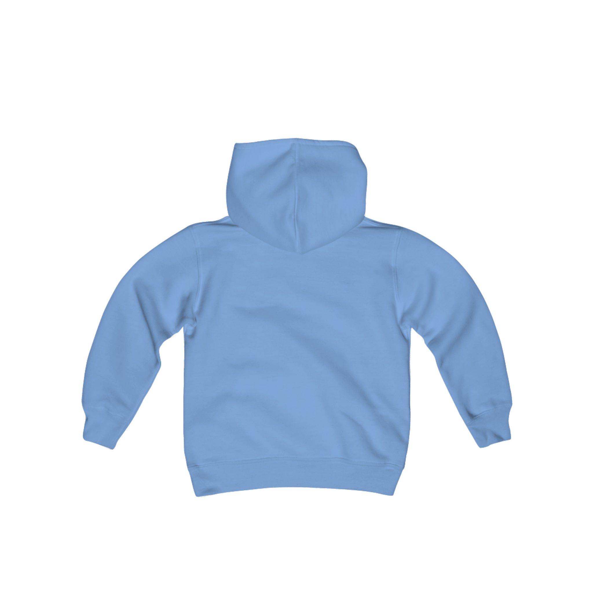 Ballerina Slippers Youth Heavy Blend Hooded Sweatshirt blue