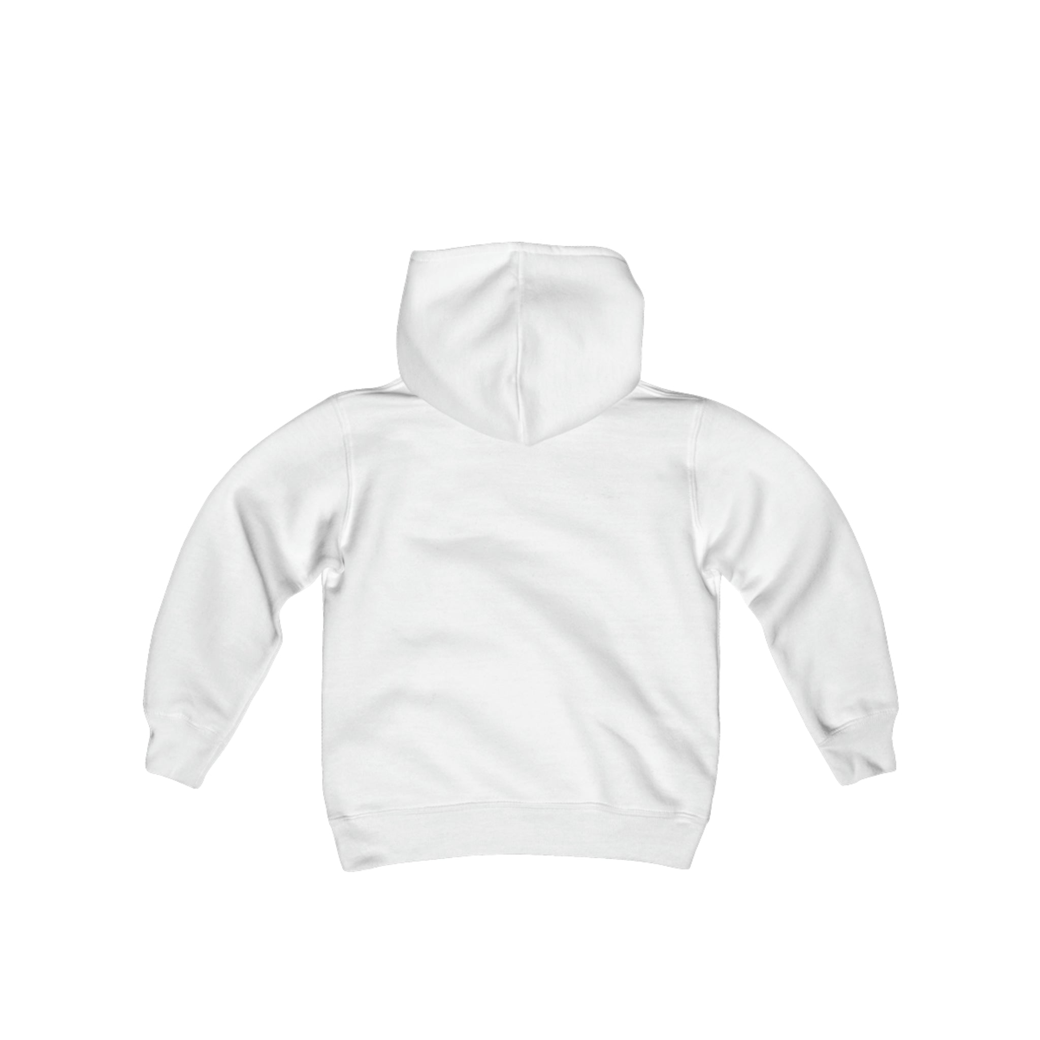Ballerina Slippers Youth Heavy Blend Hooded Sweatshirt white